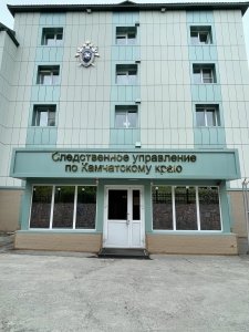 Председатель СК России поручил возбудить уголовное дело по факту нападения собак на ребенка в Камчатском крае